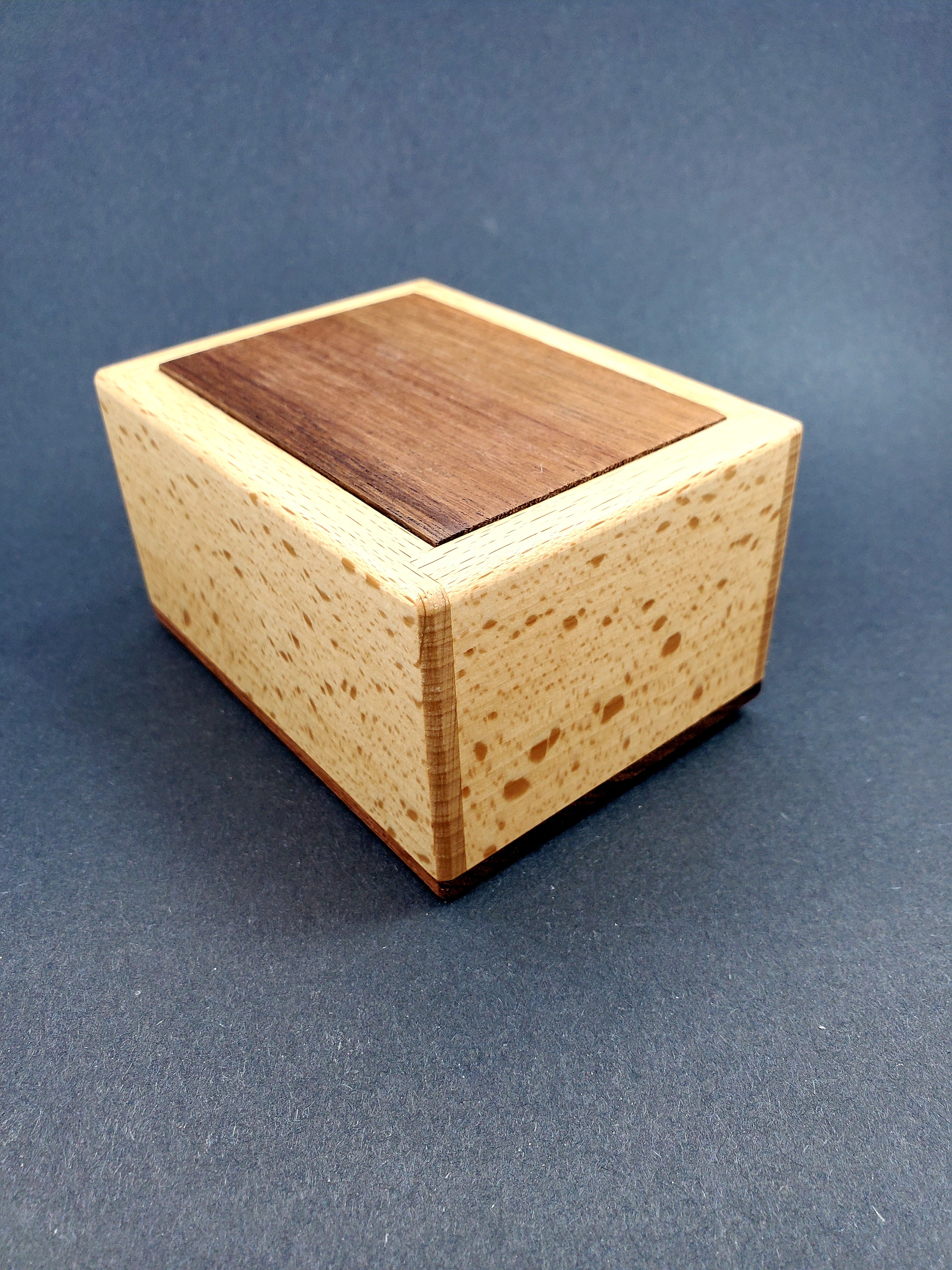 Spirit Box